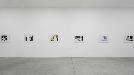 Magnus Plessen, White Cube Sao Paulo, 24 July - 24 August 2013, © Magnus Plessen, Photo: Edouard Fraipont, Courtesy White Cube