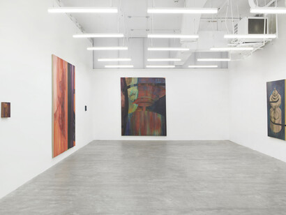 Leah Ke Yi Zheng, solo exhibition at the David Lewis Gallery, installation view. Courtesy of the artist and David Lewis Gallery, New York