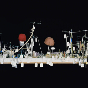 Catherine Wagner. Courtesy of Anglim Gilbert Gallery