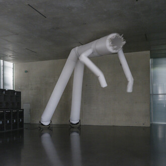 Cyprien Gaillard, When you expect flutes, it's whistles, exhibition view. Courtesy of Kunsthaus Bregenz