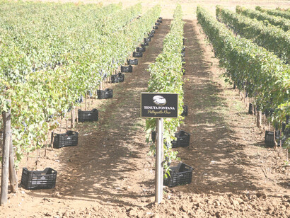 Es patrimonio de la Humanidad