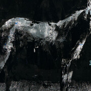 Gonzalo Borondo, Cavalo nero (dettaglio), 2026. Cortesia di 21Art Treviso