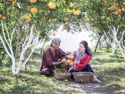 Two fruit pickers enjoyed collecting nature's gift with wide smiles and gratitude