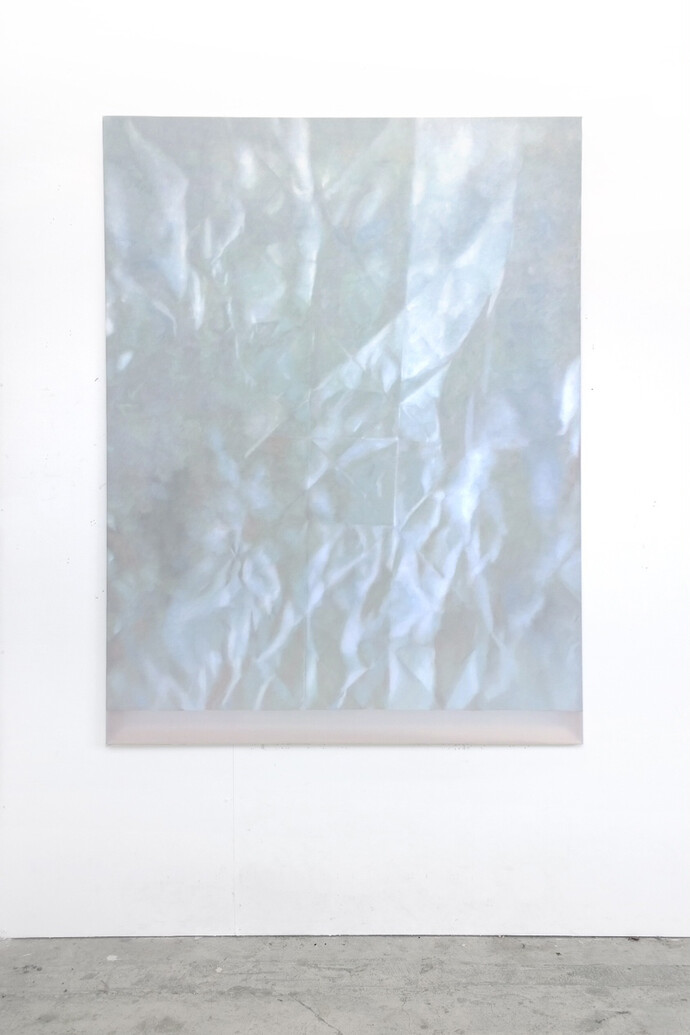 Martine Poppe, Analogical Change #26