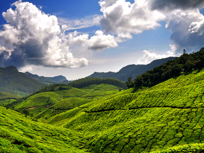 Munnar hillstation Kerala