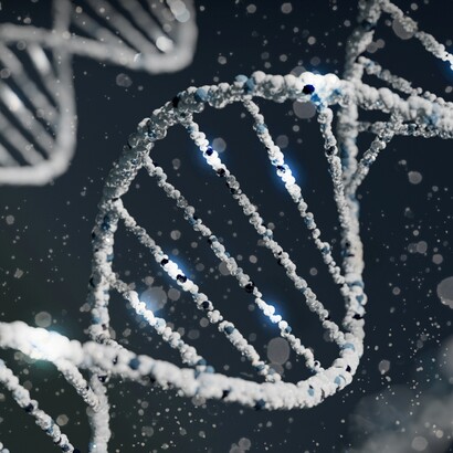 Analizzando i resti genetici antichi, l’archeogenetica ha rivelato che le disuguaglianze sociali esistevano già nell’Età del Bronzo, anche all’interno delle stesse famiglie