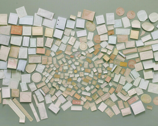 Hong Hao. Courtesy of Pace Hong Kong