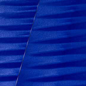 Agostino Bonalumi, Blu (dettaglio), 1999, estroflessione su carta serigrafata, 38,5 x 35 cm