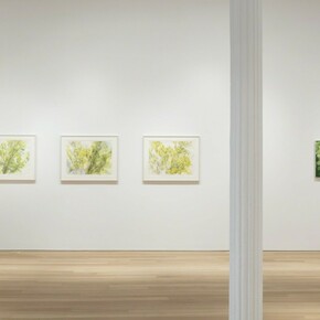 Sylvia Plimack Mangold, Exhibition view. Courtesy of Alexander and Bonin