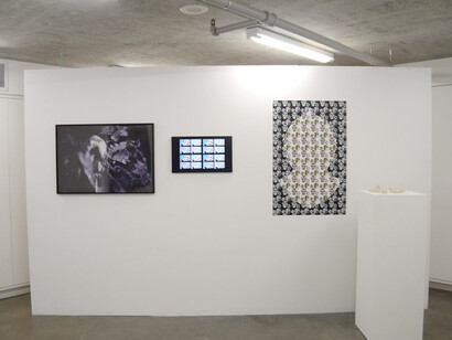 Processus. Courtesy of Contemporary Art Gallery