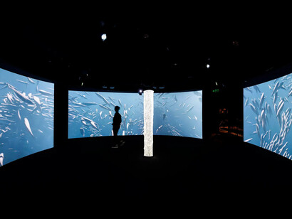 Shaped by the sea, exhibition view. Courtesy of the Australian National Maritime Museum