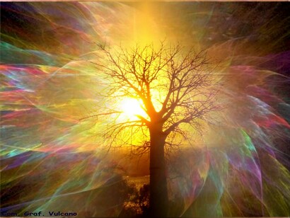 Una Luce in lontananza