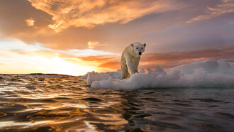 Si prospetta un aumento della temperatura di circa 2,7 °C entro la fine di questo secolo