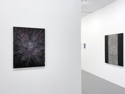 Mario Trejo, Idiosyncratic tantrums, installation view. Courtesy of the artist and Bruno David Gallery