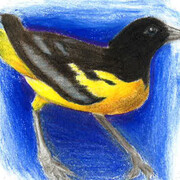 Brandywine River Museum of Art