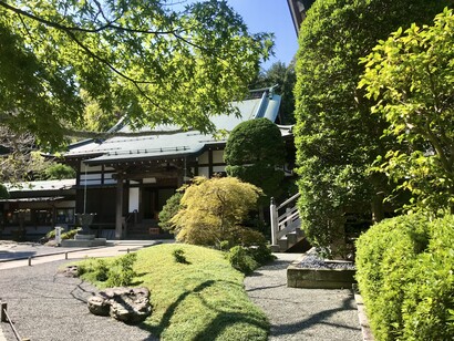 Houkokuji Temple © Alma Reyes