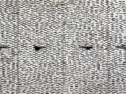 Wall Plug (16), 2013, by Koralegedara Pushpakumara (Hempel Galleries Catalogue)