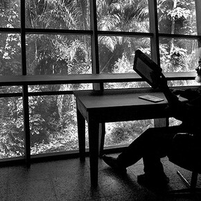 Paseos de Nobel. Courtesy of CaixaForum
