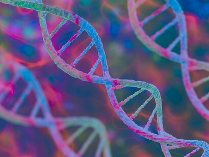 Representación gráfica de varios segmentos de ADN