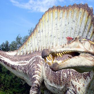 Modello in grandezza naturale di Spinosaurus, lungo circa 16 metri, realizzato da Geo - Model e ora esposto nei Giardini Montanelli, di fronte a Palazzo Dugnani © Foto di Simone Maganuco