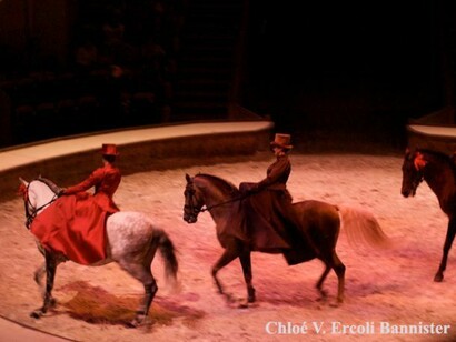 Horse show in Chantilly
