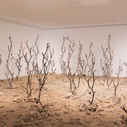 Kader Attia, Intifada: los rizomas interminables de la revolución, 2016. Courtesy of Centro Andaluz de Arte Contemporáneo. Photo by Pablo Ballesteros