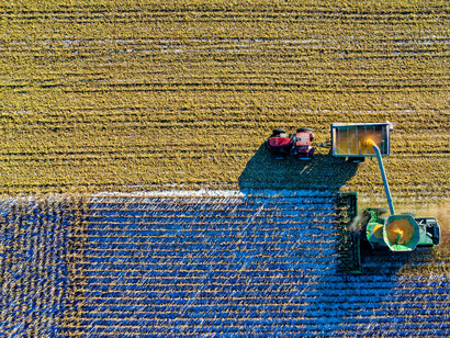 Na Rússia, uma fazenda de gado leiteiro realizou testes utilizando óculos de realidade virtual para reduzir a ansiedade e o estresse das vacas