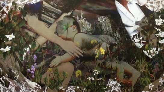 Noriko Kinouchi, Dazzled Family, Inkjet Print on Aluminum, 24" x 36" x 2"