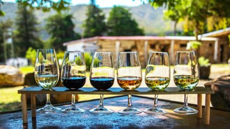 Degustazione di vini: "Il vino: è cultura, identità, storia, unità, disuguaglianza, esperienza sensoriale, vita"