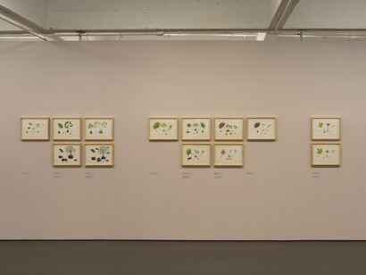 Abel Rodríguez—Mogaje Guihu, A árvore da vida e da abundância, vista da exposição. Cortesia do MASP