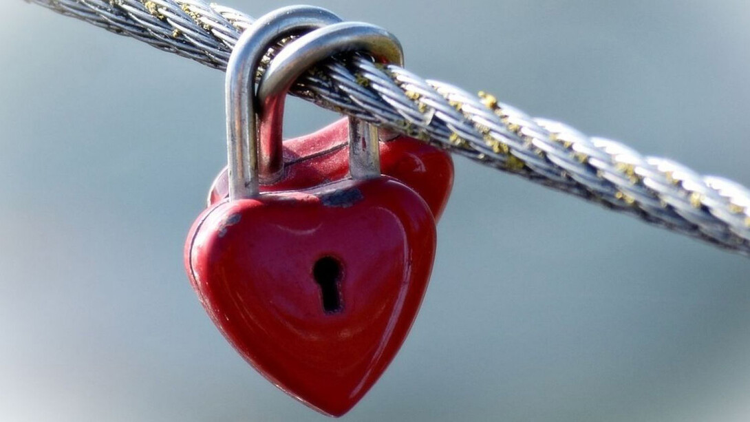 Hay semillas que germinan solo en la adversidad