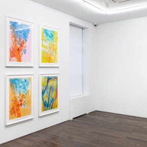 Wallace Whitney, The rich hour, vue d'exposition. Avec l'aimable autorisation de Ceysson and Bénétière