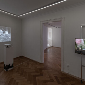 Paul Valentin, Zharroktal, ausstellungsansicht. Mit freundlicher genehmigung der Galerie Britta Rettberg