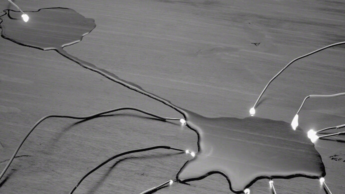Electricities by David Goldes. Courtesy of Damiani