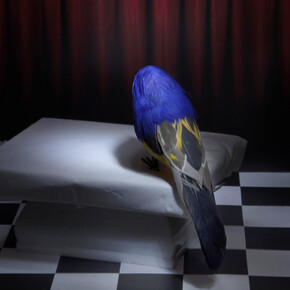 Artisti vari, Le muse surreali. Per gentile concessione della Galleria Vik Milano