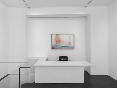 Lêna Bùi, Skin in my stomach, exhibition view. Courtesy of Galerie Urs Meile