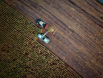 Pesticide poisoning among workers in agriculture 