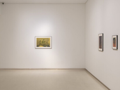Anna Cabrera and Ángel Albarrán, Ventanas a lo insólito, exhibition view. Courtesy of Galería Elvira González