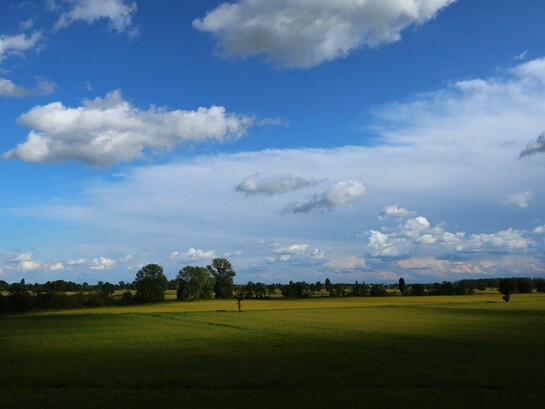 Il Parco Agricolo Sud Milano costituisce la green belt della metropoli, una vasta cintura verde che tutela il paesaggio rurale e l'equilibrio ambientale dell'area milanese. Lombardia, Italia