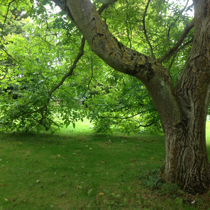 Anthony Key’s Home in Essex