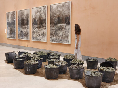 Carmen Laffón, Variaciones, vista de exhibición. Cortesía del Museo Nacional Thyssen-Bornemisza
