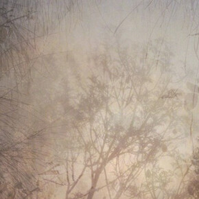 Into the Wilderness. Courtesy of Flinders Lane Gallery
