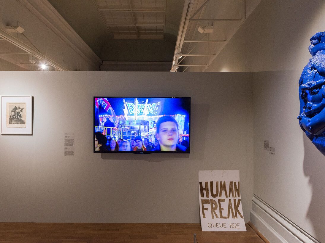Installation shot, Nottingham Castle Open 2014, image credit John Hartely