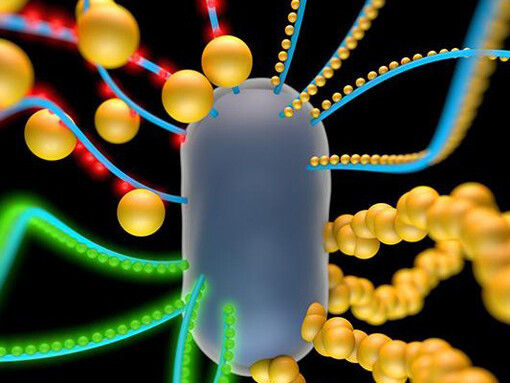 Synthetic bio cell