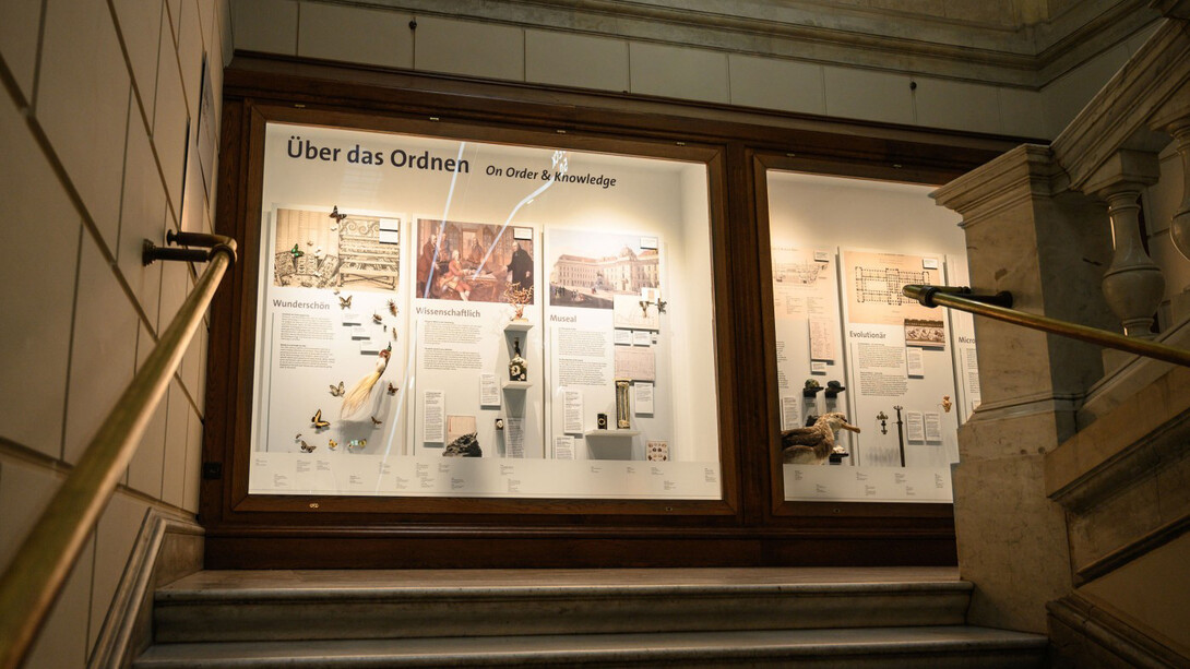 Der ordnende blick. Eine geschichtliche spurensuche, ausstellungsansicht. Mit freundlicher genehmigung des Naturhistorischen Museums Wien