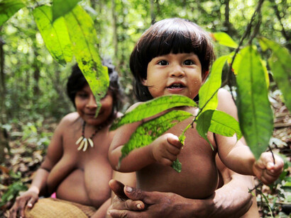 Una familia se toma un descanso durante una ruta por la selva para recolectar frutos de açai. © Survival
