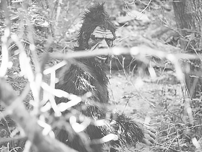 Explore the mysterious allure of Bigfoot Sasquatch in the dense woods and forest