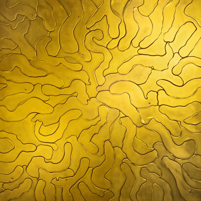 Martin Kline, Byars golden dream, 2025. Courtesy of Gallery Naga