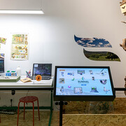 Andalucía laboratorio de biodiversidad, vista de exhibición. Cortesía de Casa de la Ciencia