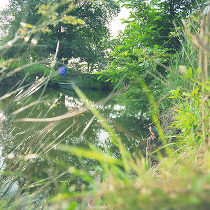 Jean-Luc Mylayne. Courtesy of Aargauer Kunsthaus